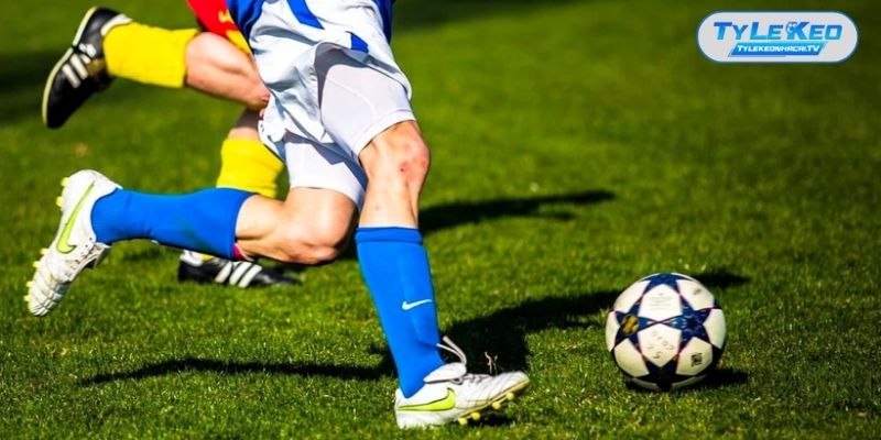 Tổng quan những kèo cá độ cơ bản cần biết